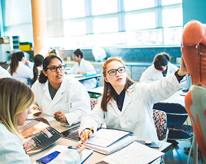 Anatomy Physiology Lab