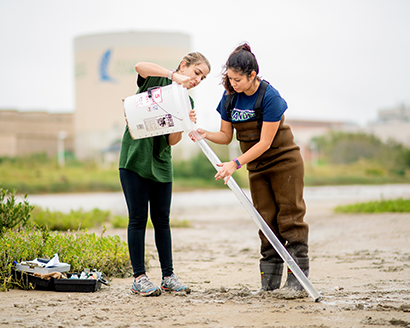 Water quality sampling